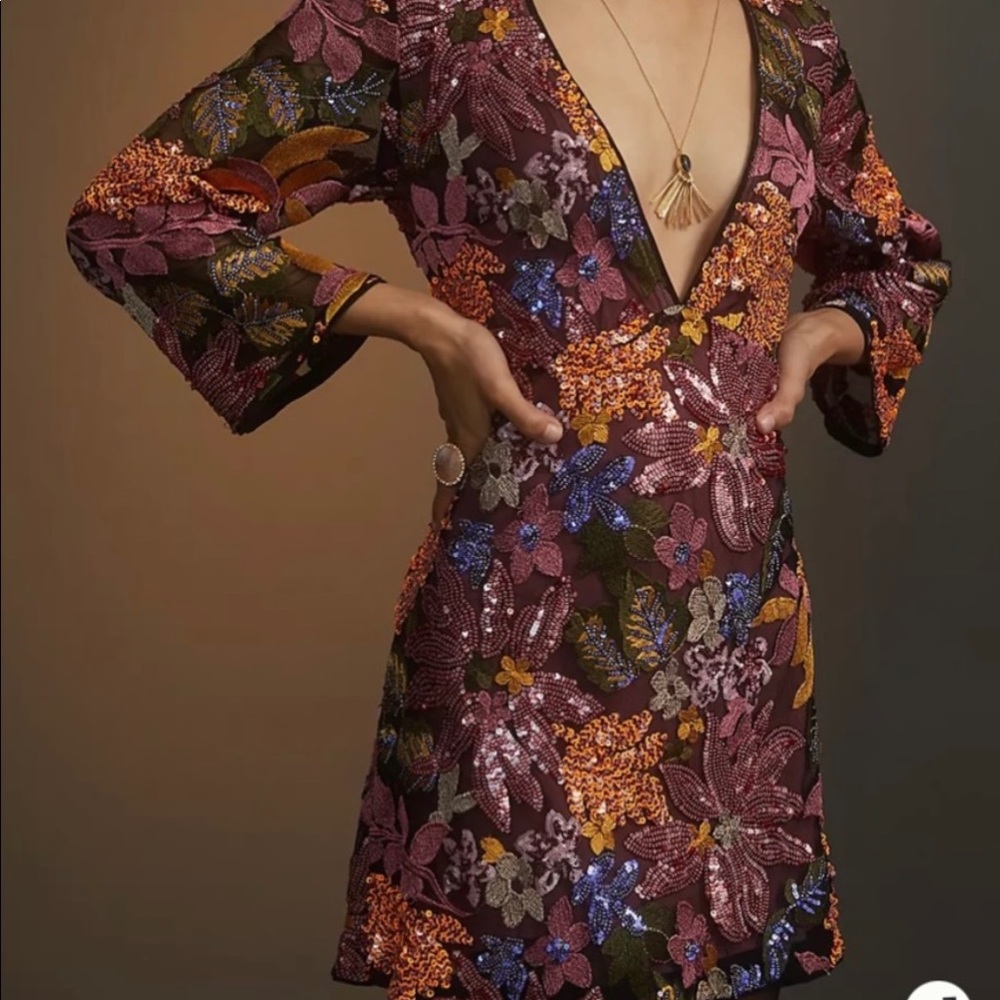 ANHTHROPOLOGIE l Rare Sequin Embroidered Floral Mini Dress 4/S
